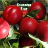 Комплект 5шт / Нектарин Рубиновый 8